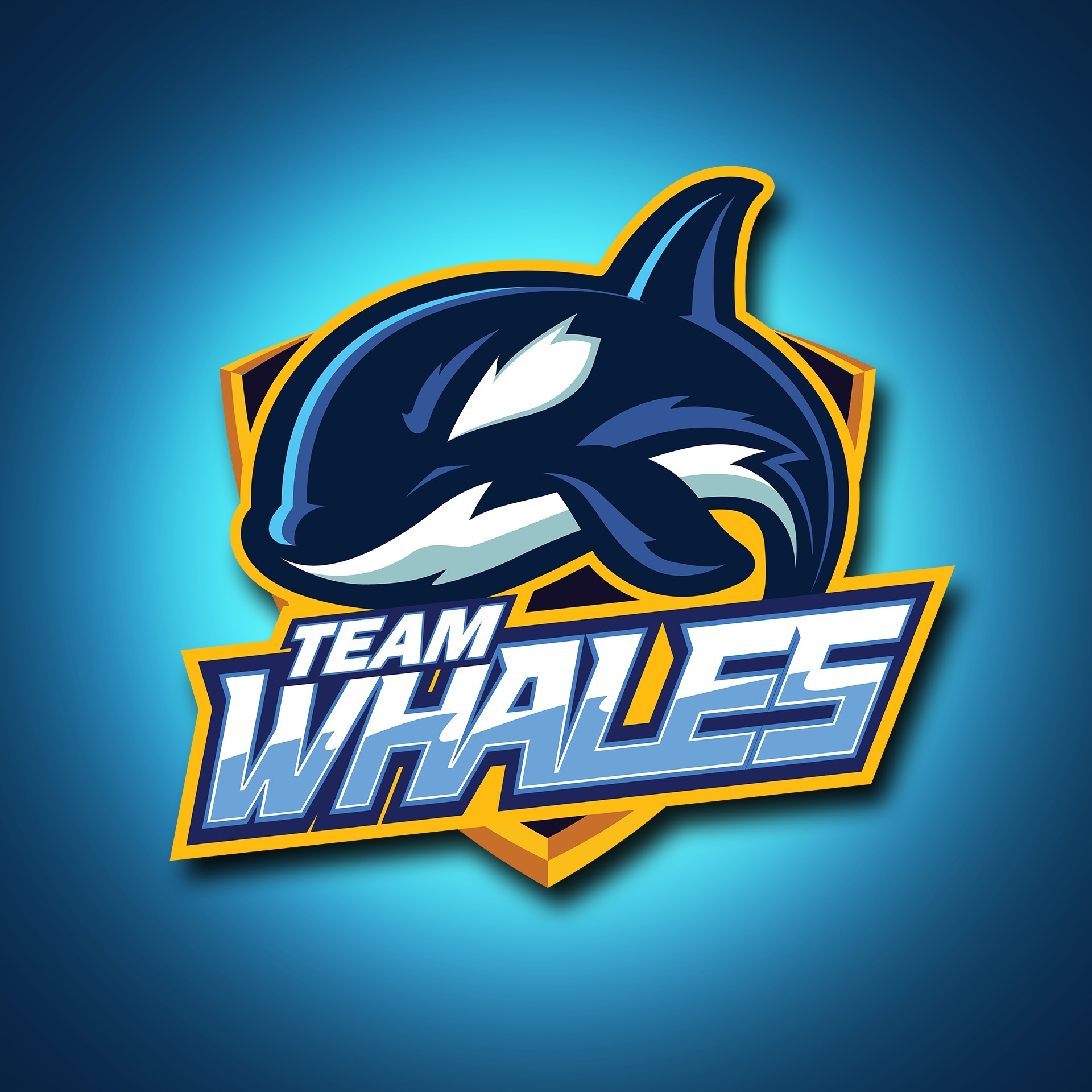 Team Whales Chi U M Nh V Ch Vcs V L M Hlv S N S Ng C Nh Tranh